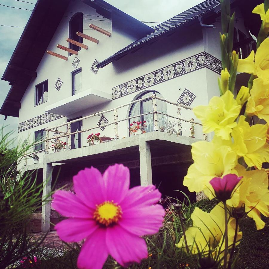 Casa Aureliana Villa Ciocanesti Buitenkant foto