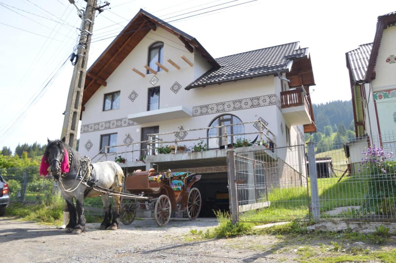 Casa Aureliana Villa Ciocanesti Buitenkant foto