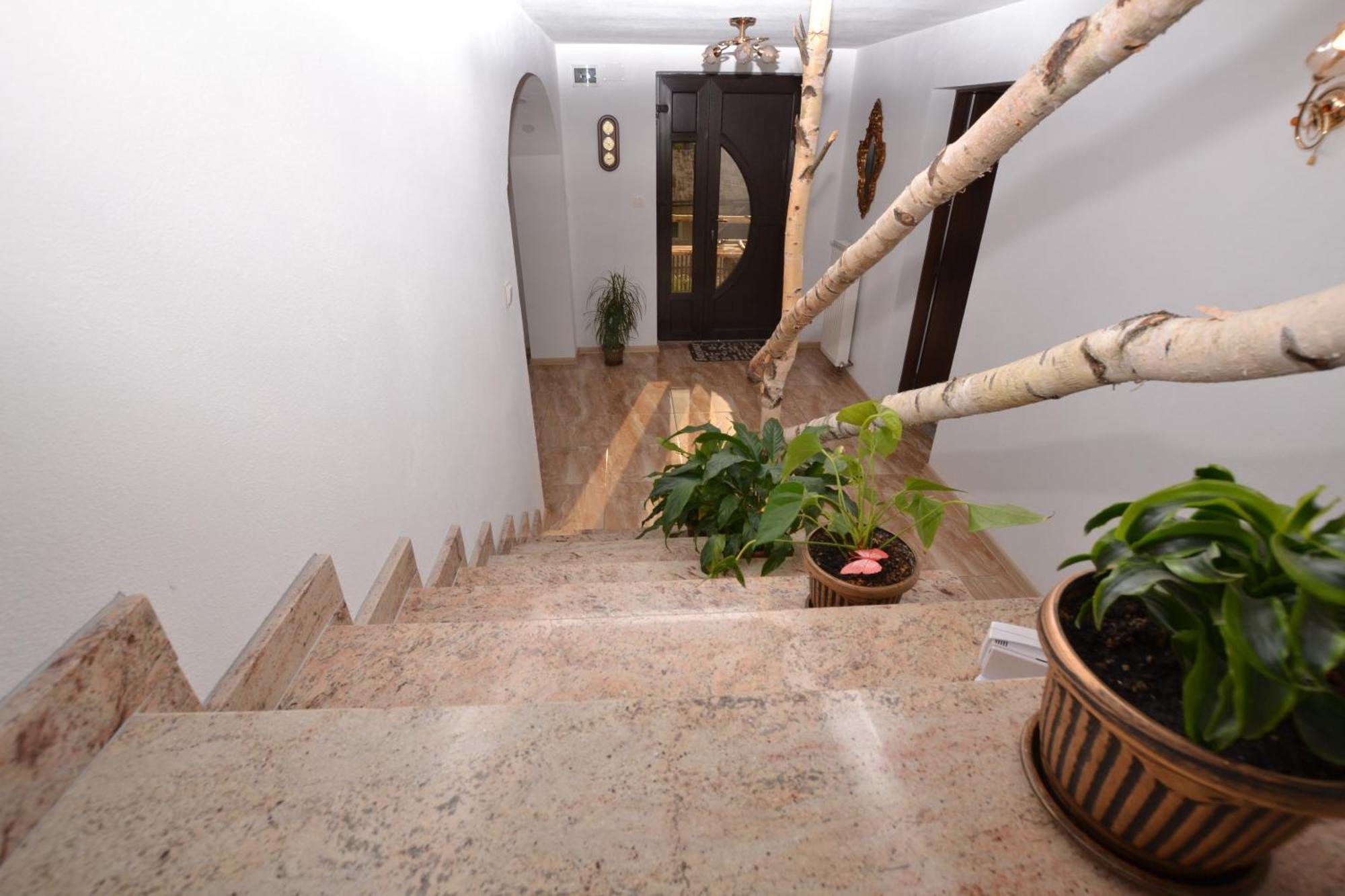 Casa Aureliana Villa Ciocanesti Buitenkant foto